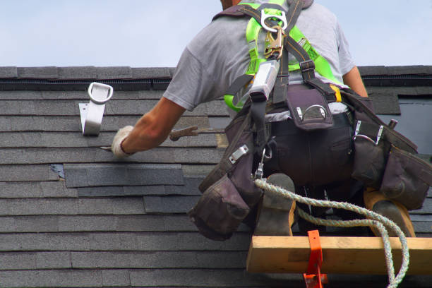 Best Local Roofing Companies  in Hamburg, PA