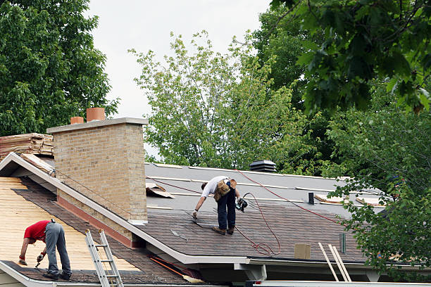 Best Roof Gutter Cleaning  in Hamburg, PA